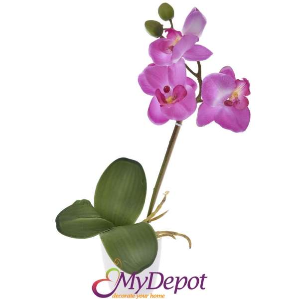 Орхидея в саксия, розова
