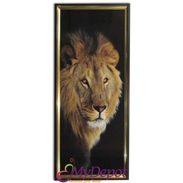 Картина върху канаваца с рамка, лъв, 45х105 см