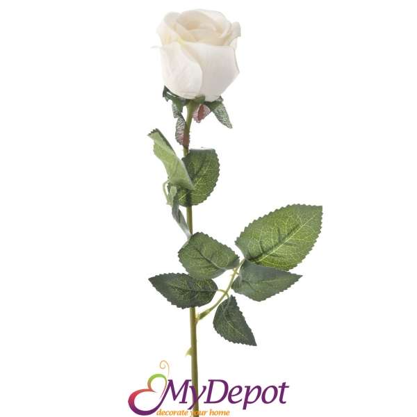 Стрък роза кадифе, бяла, 54 см