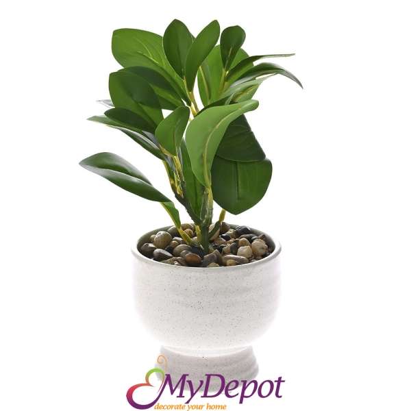 Изкуствено зелено растение в керамична саксия, 24 см