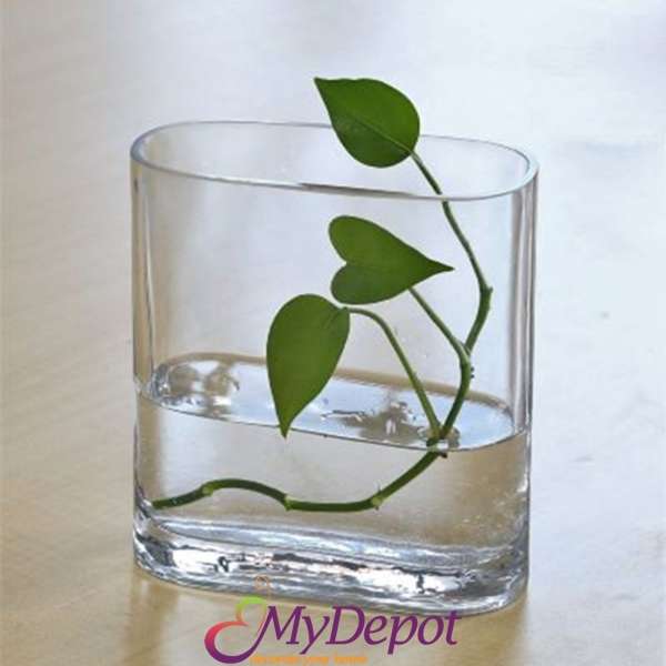 Стъклена ваза овал от изчистено стъкло, 17х8х19 см