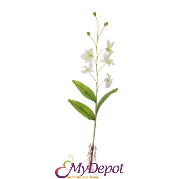 Стрък орхидея бяло 75CM