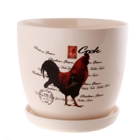 Кашпа петел,21.2X21.2X18.5cm(1X6)